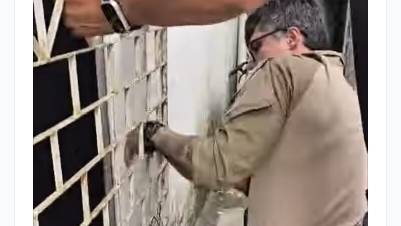 Gata é resgatada após ficar nove dias presa em imóvel abandonado
