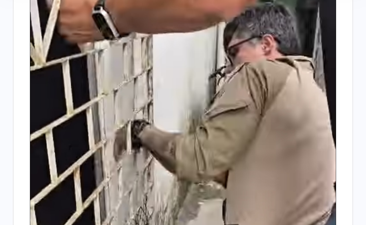 Gata é resgatada após ficar nove dias presa em imóvel abandonado