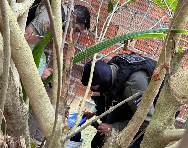 Homem morre e quatro suspeitos são presos durante operação contra o tráfico de drogas em Estância
