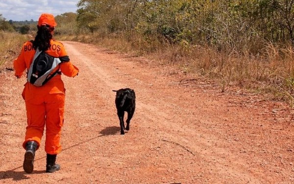 Homem é encontrado morto após ser atacado por abelhas em Riachuelo