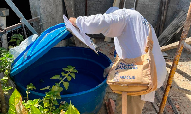PMA orienta para denúncia de móveis abandonados com risco de Aedes aegypti
