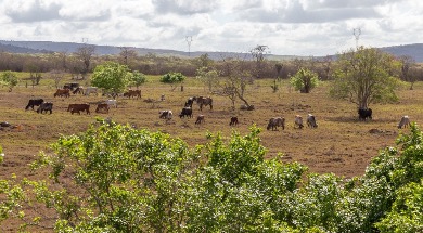 Previsão indica céu parcialmente nublado em Sergipe neste fim de semana